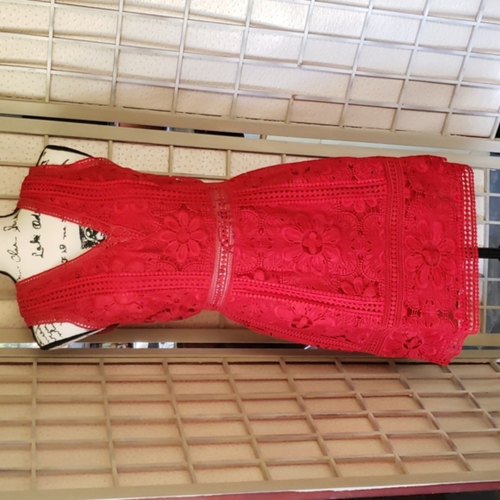Alice + Olivia Red Lace V-Neck Mini Dress